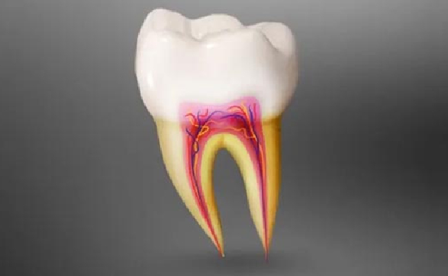 Signs You Might Need a Root Canal Treatment in Cary NC